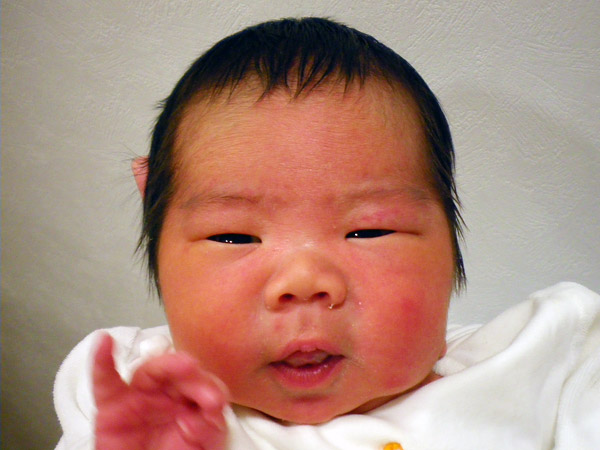 赤ちゃん写真館 ひまわりレディース マタニティクリニック 平塚市の産婦人科