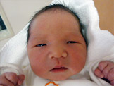 誕生日11月4日 井崎家 はる君（男の子)